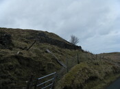 DSCF0122.JPG
