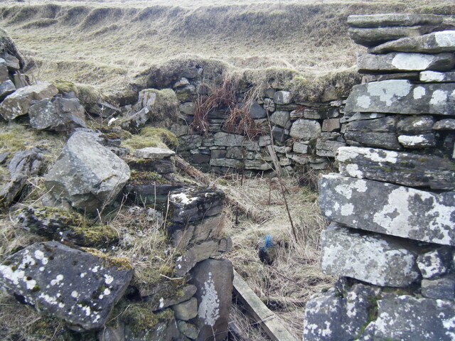 DSCF0129.JPG