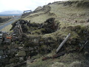 DSCF0130.JPG