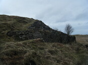 DSCF0131.JPG