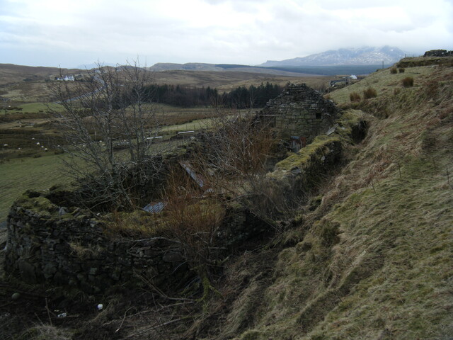DSCF0137.JPG