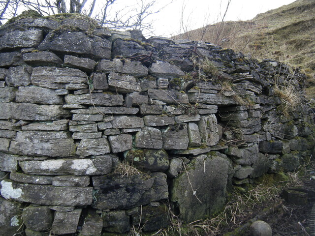 DSCF0138.JPG