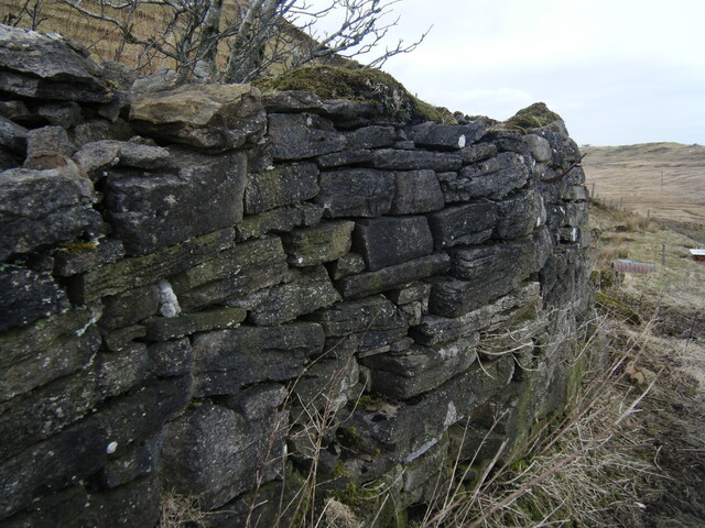 DSCF0140.JPG
