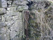 DSCF0144.JPG