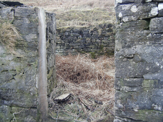 DSCF0145.JPG