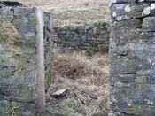 DSCF0145.JPG