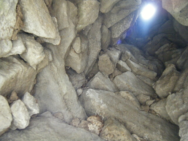 DSCF0148.JPG