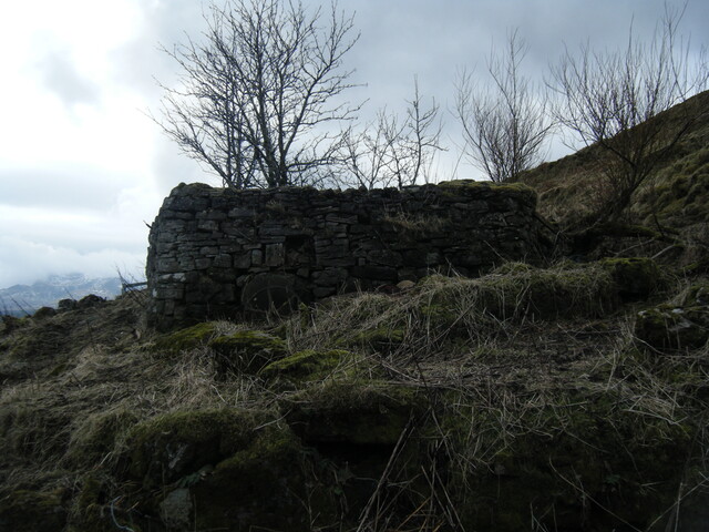 DSCF0151.JPG