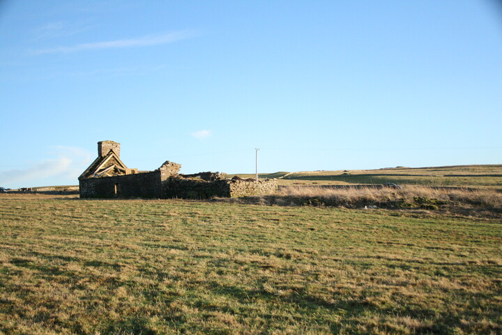 h007.jpg