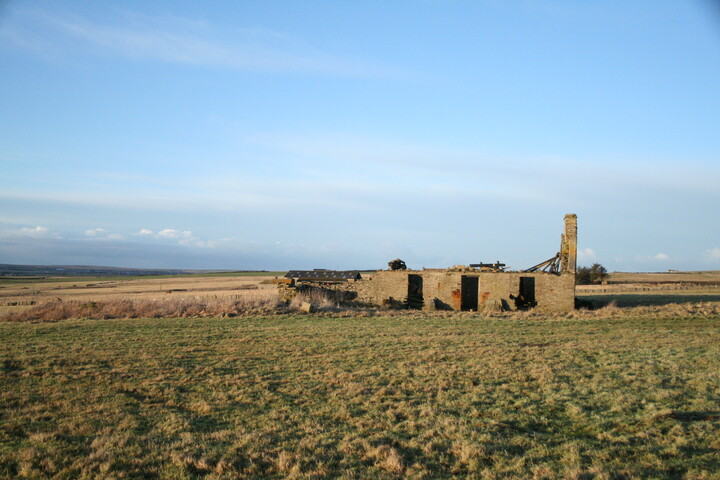 h010.jpg
