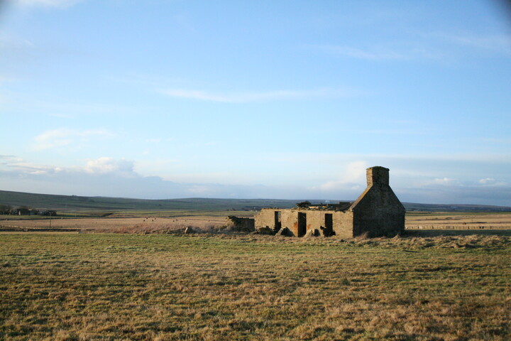 h011.jpg