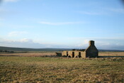 h011.jpg
