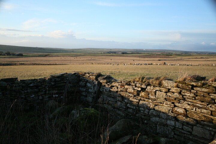 h019.jpg