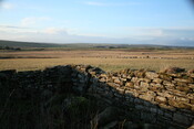 h019.jpg