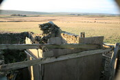 h025.jpg
