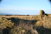 h026.jpg