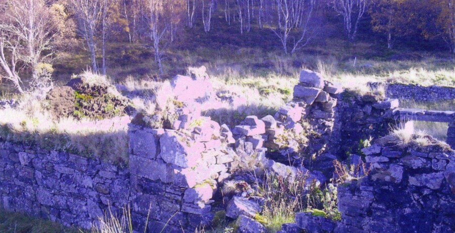 croft remains.JPG