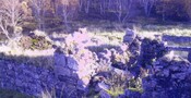 croft remains.JPG