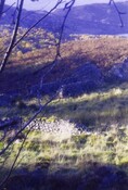 croft sites in landscape.JPG