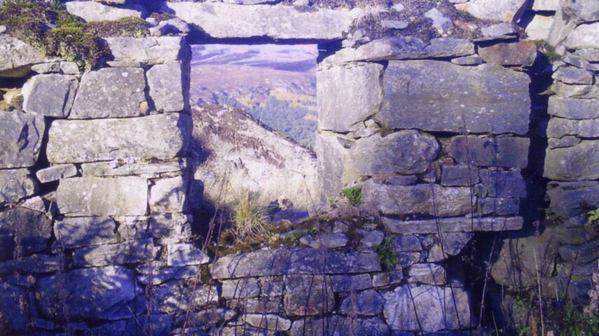 view through the window.JPG