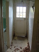 DSCF8676.JPG