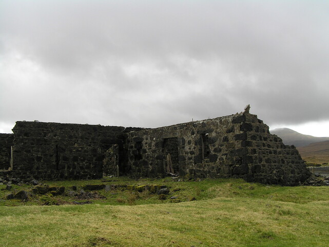 P3230008.JPG
