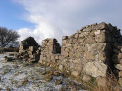 06.JPG