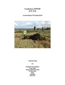1353 Castletown WWTP.doc