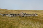 Cottar House 1.jpg