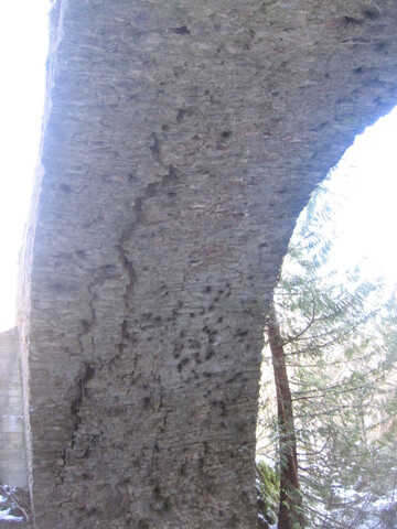 faigaigbridge2 013.jpg