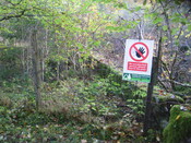 faiigaig bridge 009.jpg