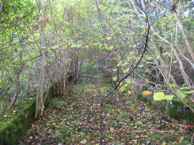 faiigaig bridge 013.jpg