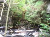 faiigaig bridge 019.jpg