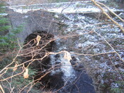 fairgbridge 005.jpg