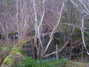 PICT1878.JPG
