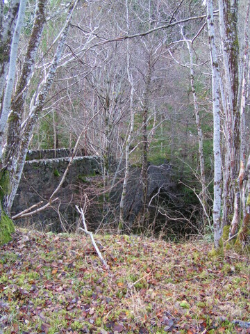 PICT1880.JPG