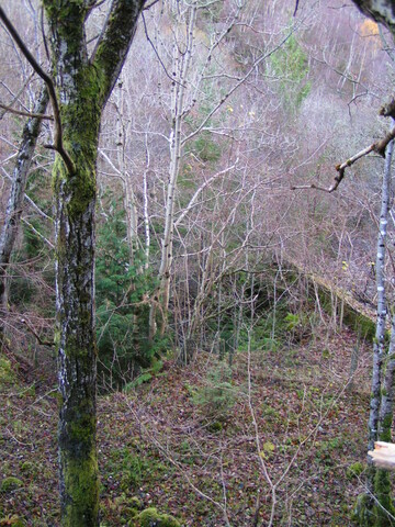 PICT1881.JPG