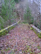 PICT1882.JPG