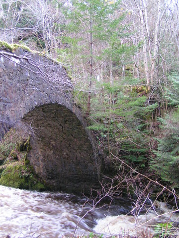 PICT1884.JPG