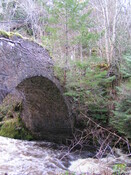 PICT1884.JPG