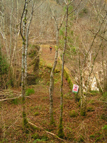 PICT1885.JPG
