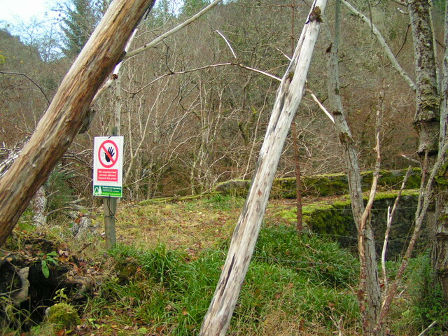 PICT1886.JPG