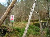PICT1886.JPG