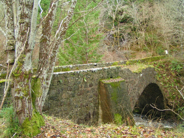 PICT1887.JPG