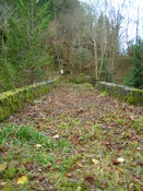 PICT1889.JPG