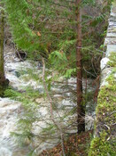 PICT1890.JPG