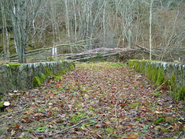 PICT1891.JPG