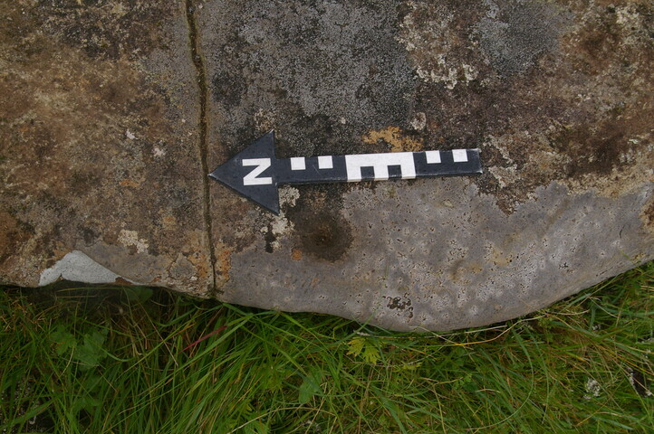 IMGP0042.JPG