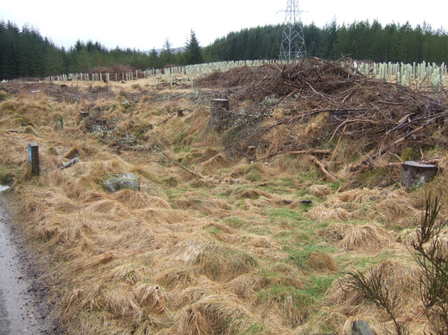 2 Gask 'henge' looking SW from central area.jpg