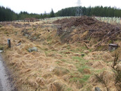 2 Gask 'henge' looking SW from central area.jpg